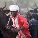 Le Sénat tchadien amorce sa mise en place sous la présidence de Dr Haroun Kabadi.